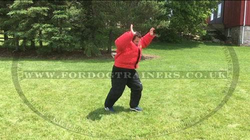 Schutzhund Dog Training Bite Suit